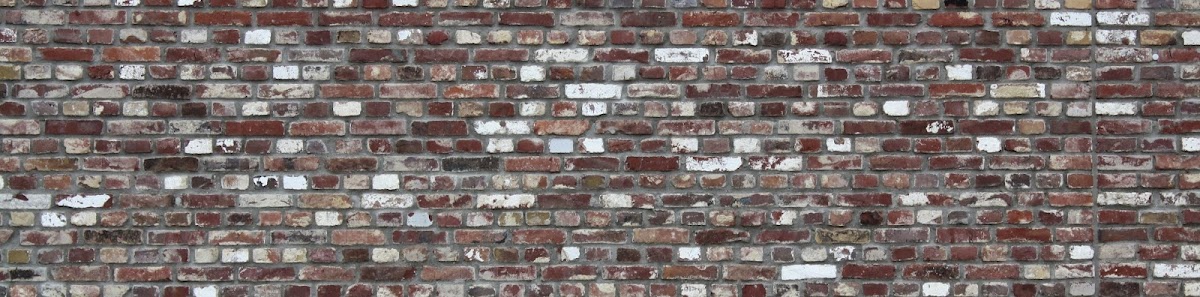 gp_6a4b5c0c6b255