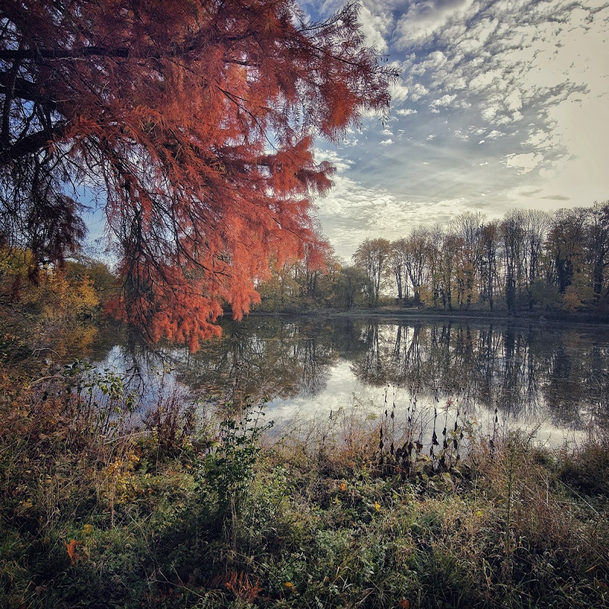 gp_6a4b32c0004c9