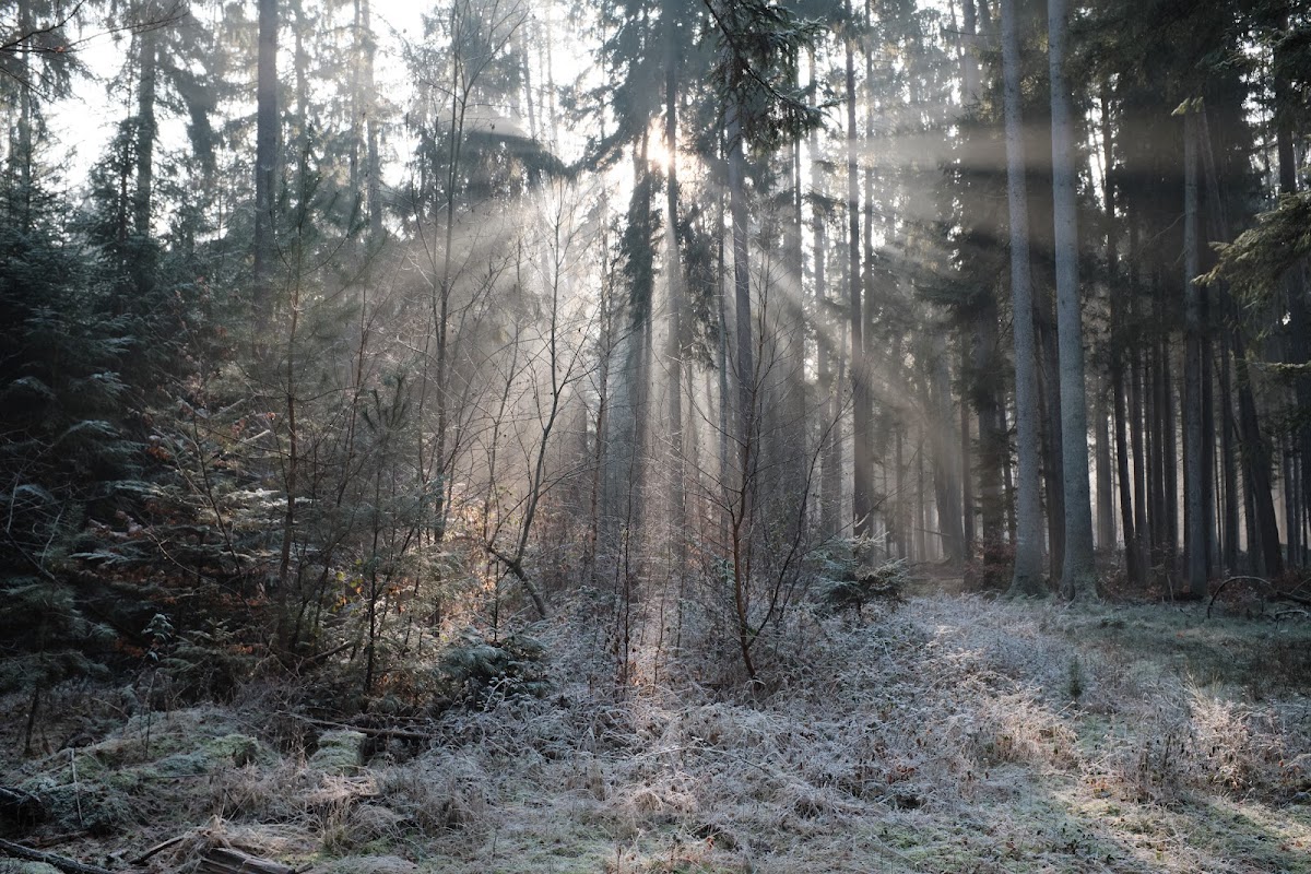 gp_6a4b34e7e8af0