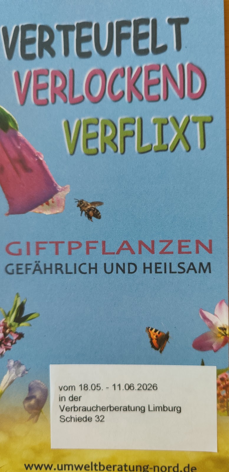 gp_6a4b4a79c40ae